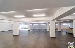 Open-space, 300 mp, 6 parcari incluse, zona Oncos