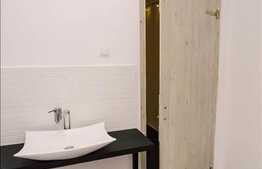 Open-space, 300 mp, 6 parcari incluse, zona Oncos