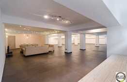 Open-space, 300 mp, 6 parcari incluse, zona Oncos