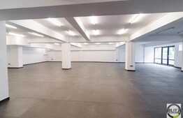 Open-space, 300 mp, 6 parcari incluse, zona Oncos