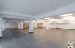 Open-space, 300 mp, 6 parcari incluse, zona Oncos