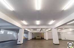 Open-space, 300 mp, 6 parcari incluse, zona Oncos