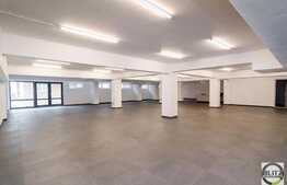 Open-space, 300 mp, 6 parcari incluse, zona Oncos