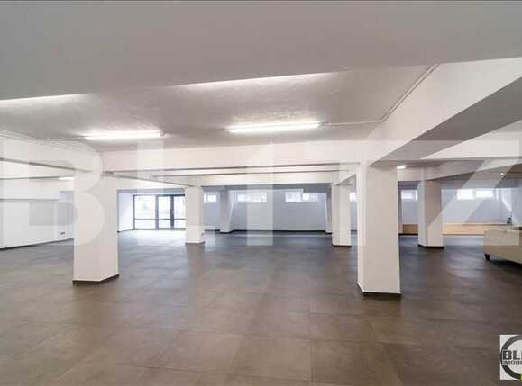 Spațiu birouri de închiriat Bună Ziua - 20570SIB | BLITZ Cluj-Napoca | Poza8