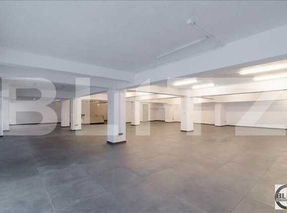 Spațiu birouri de închiriat Bună Ziua - 20570SIB | BLITZ Cluj-Napoca | Poza11