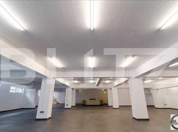 Spațiu birouri de închiriat Bună Ziua - 20570SIB | BLITZ Cluj-Napoca | Poza10