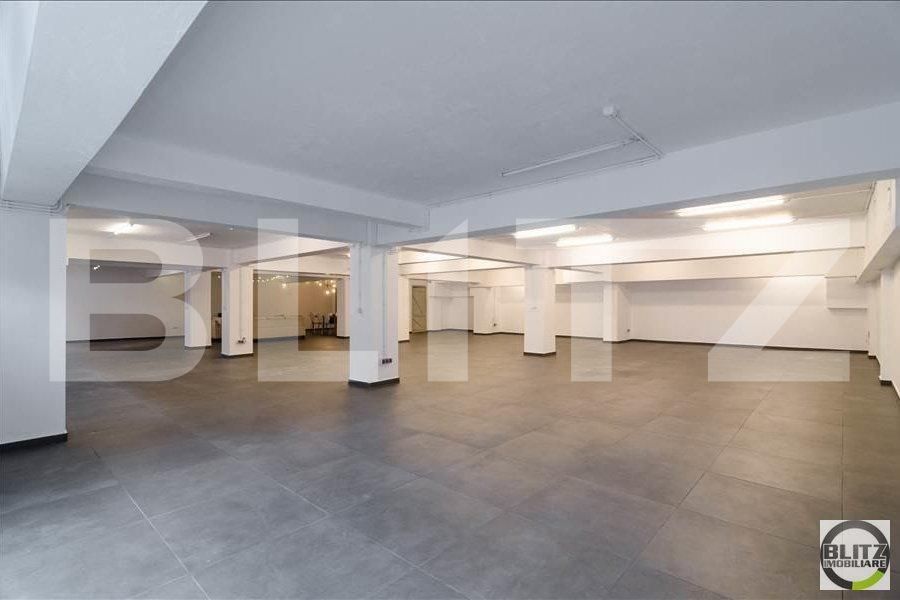 Spațiu birouri de închiriat Bună Ziua - 20570SIB | BLITZ Cluj-Napoca | Poza7