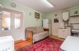 Casa individuala de vanzare Dambul Rotund, 459mp teren cu Dublu Acces