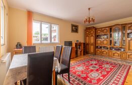 Casa individuala de vanzare Dambul Rotund, 459mp teren cu Dublu Acces