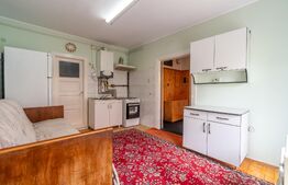 Casa individuala de vanzare Dambul Rotund, 459mp teren cu Dublu Acces