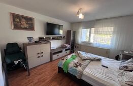Casa individuala, 480 mp, teren 1400 mp, zona Grigorescu