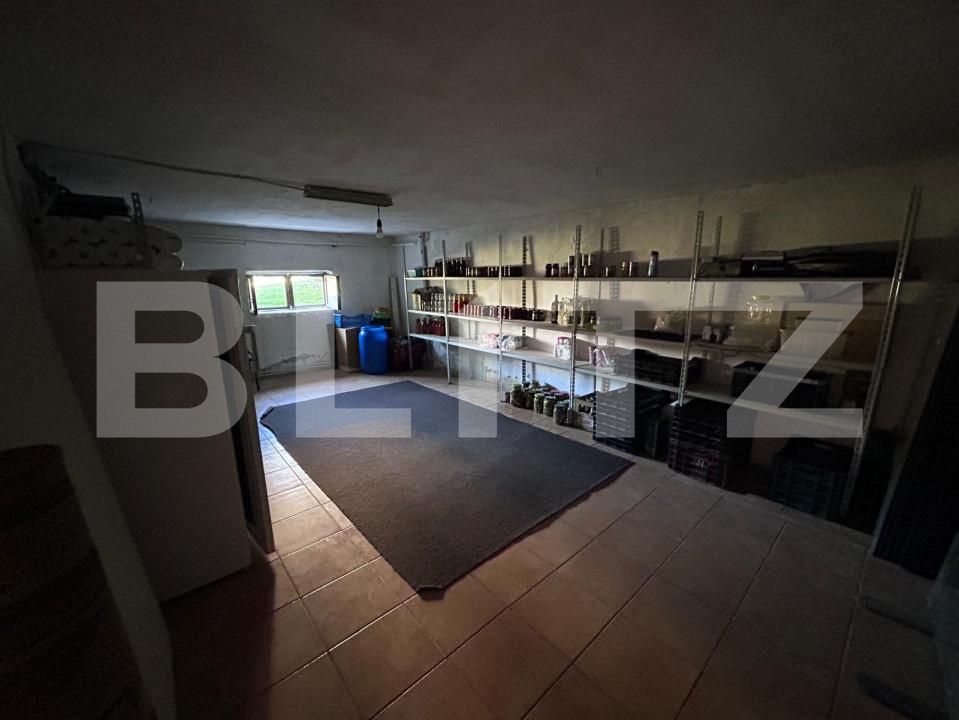 Casa de vânzare 8 camere Grigorescu - 205747CV | BLITZ Cluj-Napoca | Poza22