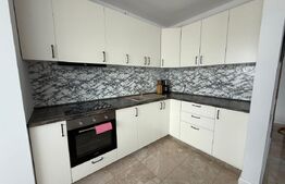 Apartament 2 camere, 61 mp, pet friendly, zona Vivo