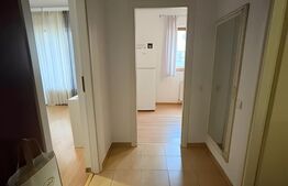 Apartament 1 camera, 40 mp, Parcare, zona Marasti 