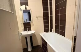 Apartament 1 camera, 40 mp, Parcare, zona Marasti 