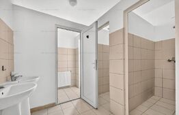 Spatiu comercial cu vizibilitate mare, 548 mp, zona Scriitorilor