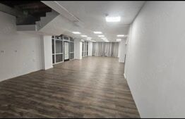 Spatiu comercial cu vizibilitate mare, 548 mp, zona Scriitorilor