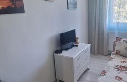 Apartament cu 3 camere