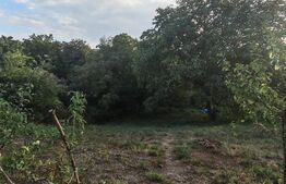 Casa 3 camere, 116 mp, 1824 mp teren, zona Badeni