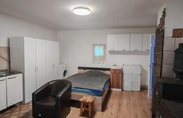 Casa 3 camere, 116 mp, 1824 mp teren, zona Badeni