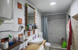 Casa 3 camere, 116 mp, 1824 mp teren, zona Badeni