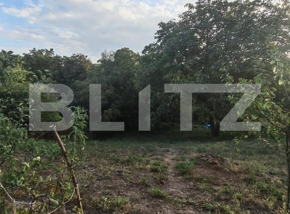 Casa de vânzare 3 camere Badeni - 205827CV | BLITZ Cluj-Napoca | Poza20