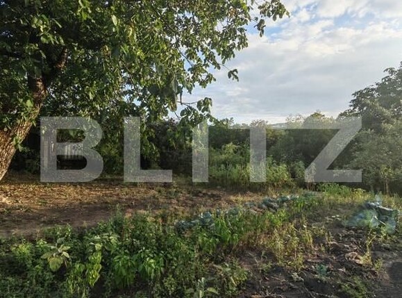 Casa de vânzare 3 camere Badeni - 205827CV | BLITZ Cluj-Napoca | Poza18