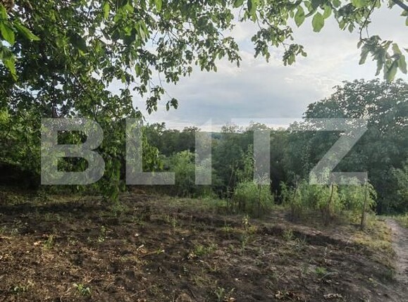 Casa de vânzare 3 camere Badeni - 205827CV | BLITZ Cluj-Napoca | Poza21