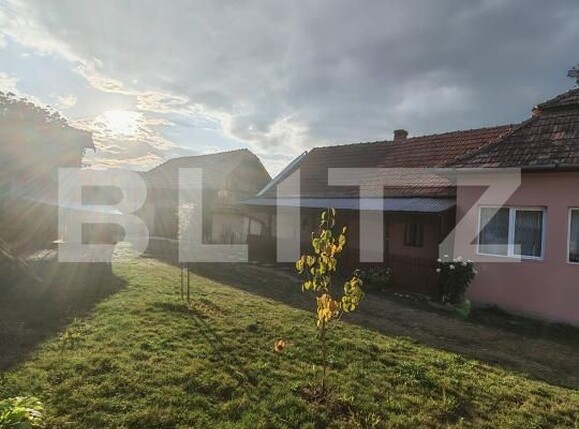Casa de vânzare 3 camere Badeni - 205827CV | BLITZ Cluj-Napoca | Poza3