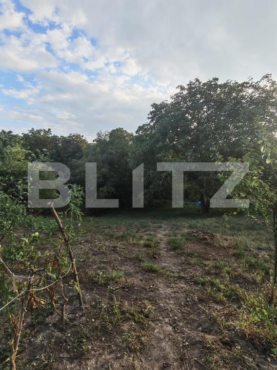 Casa de vânzare 3 camere Badeni - 205827CV | BLITZ Cluj-Napoca | Poza20