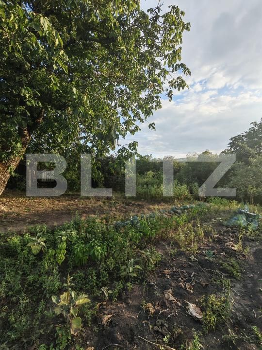 Casa de vânzare 3 camere Badeni - 205827CV | BLITZ Cluj-Napoca | Poza18