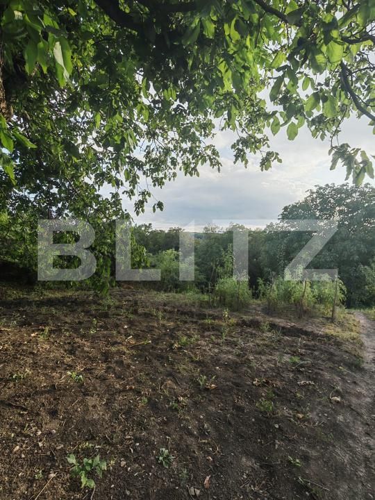 Casa de vânzare 3 camere Badeni - 205827CV | BLITZ Cluj-Napoca | Poza21