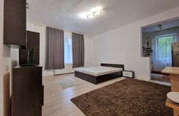 Apartament cu o camera, parcare, pet friendly.