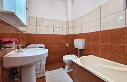 Apartament cu o camera, parcare, pet friendly.