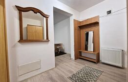 Apartament cu o camera, parcare, pet friendly.