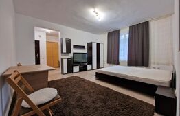 Apartament cu o camera, parcare, pet friendly.