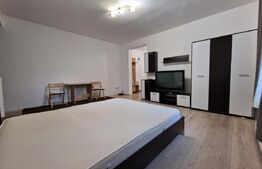 Apartament cu o camera, parcare, pet friendly.