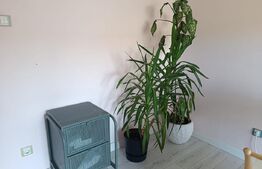 Casa 4 camere, 120 mp, curte 380 mp, zona Somesului 