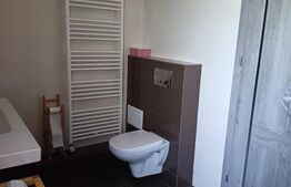Casa 4 camere, 120 mp, curte 380 mp, zona Somesului 