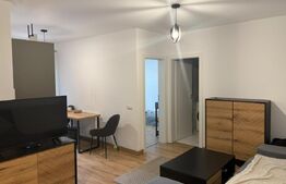 Apartament 3 camere, modern, zona Frunzisului