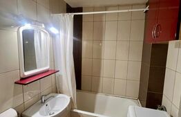 Apartament cu o camera, 28 mp, zona Marasti 