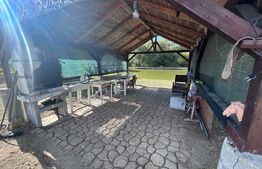 Teren intravilan, 3.805 mp, zona Soimeni