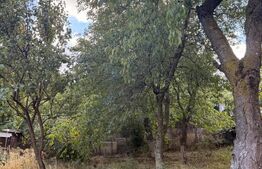 Casa de vaznare, 190 mp, teren 922 mp, zona Codlea
