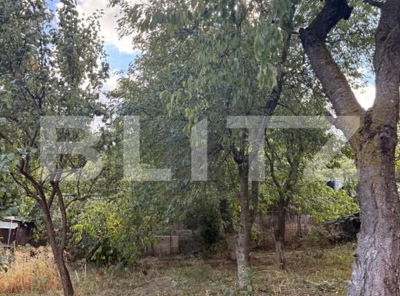 Casa de vânzare 6 camere Codlea - 205965CV | BLITZ Brașov | Poza7