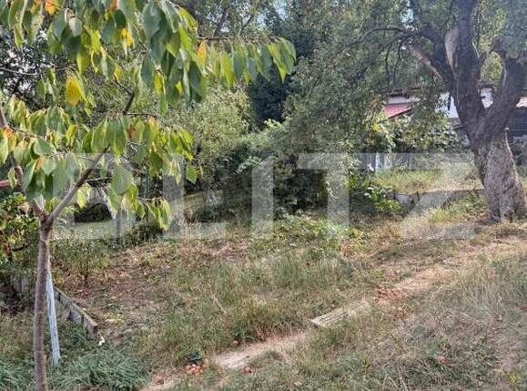 Casa de vânzare 6 camere Codlea - 205965CV | BLITZ Brașov | Poza8