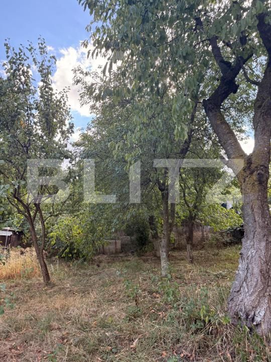 Casa de vânzare 6 camere Codlea - 205965CV | BLITZ Brașov | Poza7