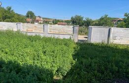 Casa cu 5 camere, 320.47 mp, zona Boldut 