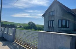Casa cu 5 camere, 320.47 mp, zona Boldut 