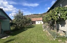 Casa individuala, 100 mp, teren 1887 mp, zona Bont