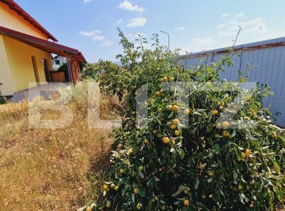 Casa de vânzare 5 camere Carpinis - 206014CV | BLITZ Brașov | Poza2